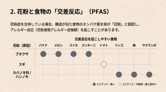 花粉（ブタクサ、スギ、カバノキ科）と、それに対応して交差反応を起こしやすい食物（バナナ、トマト、リンゴなど）をまとめた対応表。