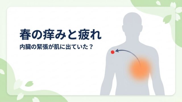 春の痒みと疲労感の正体｜右側の内臓緊張が左肩の肌荒れを引き起こす？鍼灸・整体からの考察