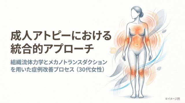 成人アトピー性皮膚炎における組織流体力学とメカノトランスダクションを用いた統合的アプローチ