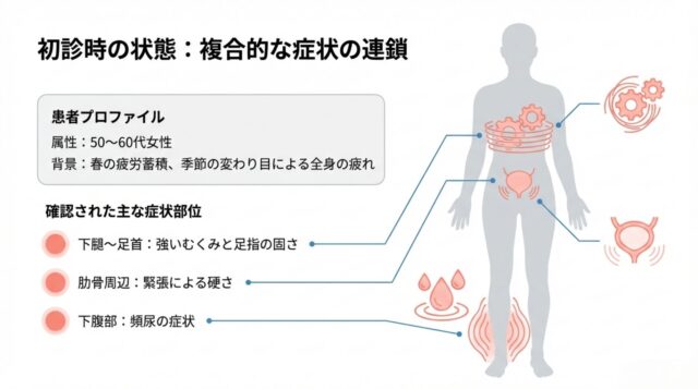 人体のシルエット図。胸部（肋骨）、下腹部、足首にターゲットマークがあり、それぞれ「緊張による硬さ」「頻尿の症状」「強いむくみと足指の固さ」という説明が添えられている。