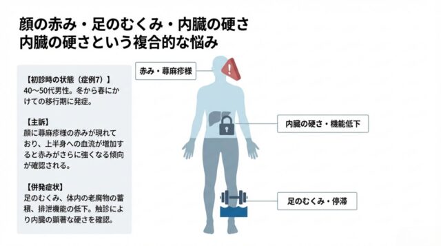 男性の全身シルエット。顔に赤み、お腹に鍵、足に重りが配置され、全身の循環不良と内臓の硬直、顔面への症状集中を視覚化しています。