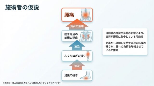 足裏の硬さがふくらはぎ、肋骨、腰へと影響し、腰痛を引き起こす負の連鎖を説明したインフォグラフィック