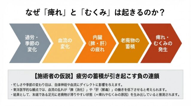 過労や季節の変化が血流や内臓の疲れを引き起こし、最終的に足の痺れやむくみにつながるというメカニズムを段階的に示したフローチャート。