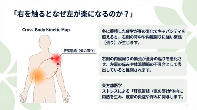 右側の緊張が全身の巡りに影響し、左肩の痒みを引き起こすメカニズムの推測図 