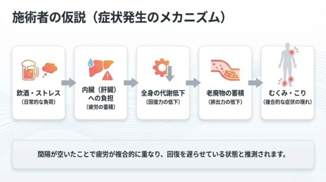症状発生のメカニズムを示す5段階のフロー。1.飲酒・ストレス、2.内臓（肝臓）への負担、3.全身の代謝低下、4.老廃物の蓄積、5.むくみ・こり、の順に症状が悪化する過程を説明している。 