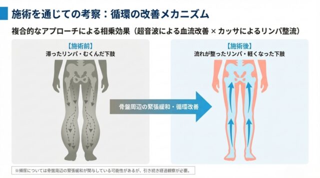下半身の骨格と循環のイメージ。施術前は滞っていた流れが、施術後は足元から骨盤へ向かってスムーズに流れる矢印で表現されている図。