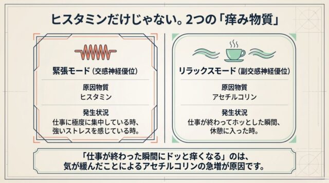 交感神経優位のヒスタミンと、副交感神経優位のアセチルコリンの発生状況を対比した図