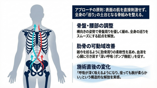 骨盤周りの調整と肋骨の柔軟性を高めることの重要性を説明したテキスト中心のスライド。