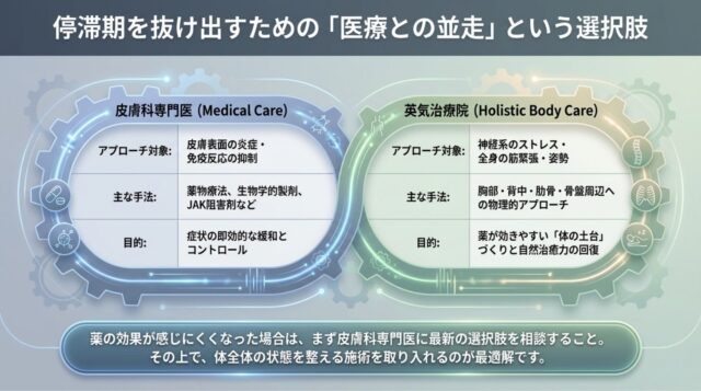 皮膚科専門医と英気治療院の役割の違いをまとめた比較表