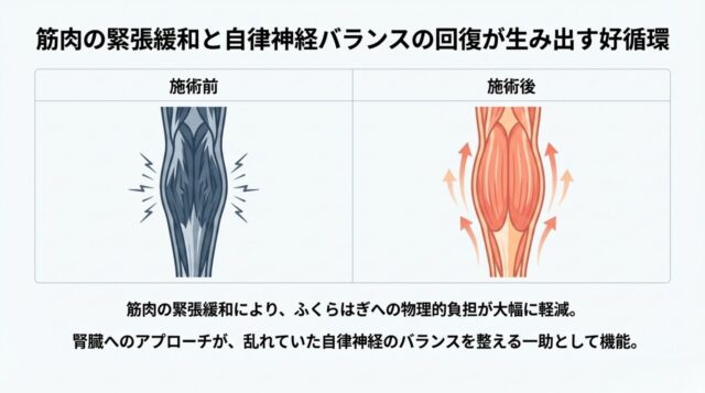 施術前後の筋肉の緊張度合いと、自律神経の好循環を表した比較図