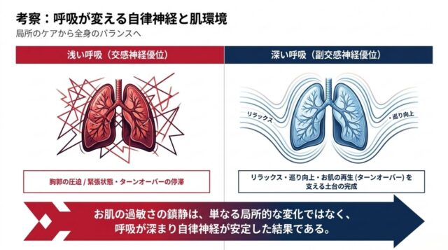 呼吸がもたらす自律神経の安定とお肌の再生