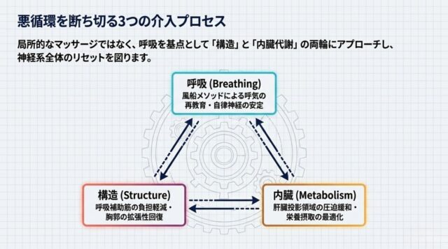 中央の大きな歯車を囲むように、呼吸、構造、内臓の3つのボックスが配置され、双方向の矢印で結ばれたトライアングル状の図。
