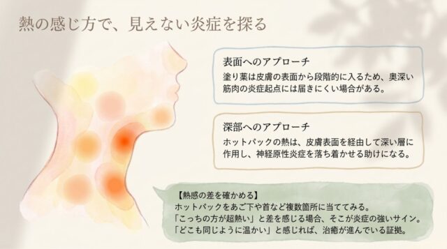 表面へのアプローチ（塗り薬）と深部へのアプローチ（ホットパック）の違い、およびホットパックを使った熱感の差による炎症の確かめ方を説明したテキスト。