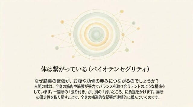 「体は繋がっている(バイオテンセグリティ)」の見出し。テント構造の比喩を用いて、局所の「張り付き」が全身に及ぼす影響を説明するテキスト。