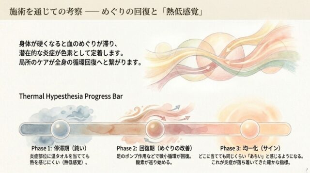 「めぐりの回復と『熱低感覚』」というテーマで、温タオルに対する感覚が停滞期から均一化（回復の指標）へと変化するプロセスを3段階で説明したテキストスライド。