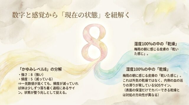 かゆみレベル8（強さ8・頻度5）の分析と、湿度100%の中で感じる皮膚の乾燥が血の巡りの滞りを示すサインであることを説明するテキストページ。