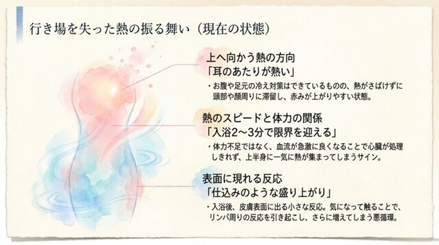 「行き場を失った熱の振る舞い(現在の状態)」として、「上へ向かう熱の方向（耳のあたりの熱さ）」「熱のスピードと体力の関係（入浴2〜3分で限界）」「表面に現れる反応（仕込みのような盛り上がり）」の3つの状態と詳細な説明が記載されたページ