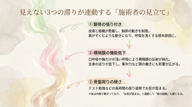 「①鎖骨の張り付き」「②横隔膜の機能低下」「③骨盤周りの硬さ」の3つが連動し、姿勢や呼吸、腕の組織の硬さに影響を与える仕組みを解説した構成図的テキスト。