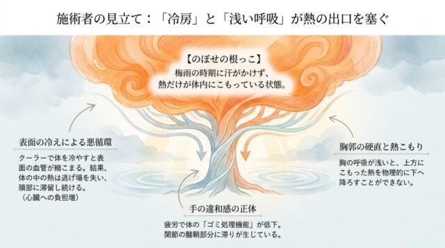 Step 1（頭：熱を冷ます）、Step 2（胸：呼吸を取り戻す）、Step 3（手：ゴミを取る）の3つの施術アクションと、赤みが引く、胸郭が広がる、動きが軽くなるといった結果が記載されたPDFの第5ページ。