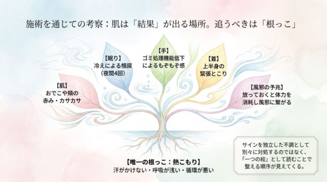 肌、眠り、手、首、風邪の予兆という各サインが、すべて「唯一の根っこ：熱こもり」という1つの原因につながっていることを示し、全体を一目で捉える重要性を説いたPDFの第6ページ。
