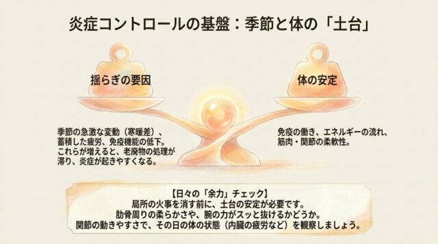揺らぎの要因と体の安定、日々の「余力」チェックについてまとめた、身体の土台作りのための解説テキスト。