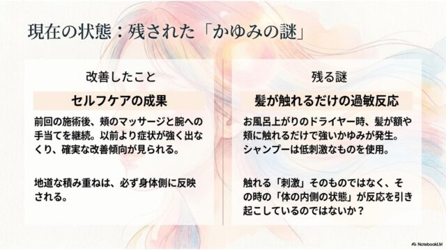 薄く透けた女性の顔が背景に配置されている。中央を縦線で分割し、左側には「改善したこと：セルフケアの成果」、右側には「残る謎：髪が触れるだけの過敏反応」について書かれた2枚の白いカードが配置されている。