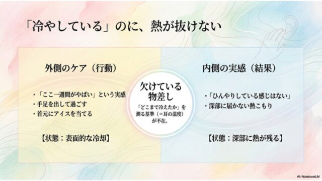 左側に「外側のケア（行動）」、右側に「内側の実感（結果）」、中央に「欠けている物差し」を配置し、表面的な冷却と深部の熱残りを対比したスライド。