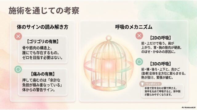 痛みの捉え方と、鳥かご風のイラストを用いた「2Dの呼吸」と「3Dの呼吸」の違いを説明する考察スライド。