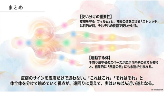カラフルなポイントが描かれた人体の水彩イラストを背景に、フィルムとストレッチの使い分けや、体全体の連動性を解説し、「皮膚のサインを皮膚だけで追わない」というまとめのメッセージを伝えるスライド。
