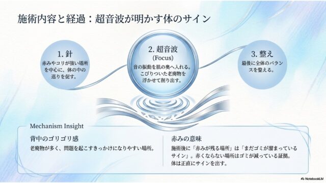 ブルーの流線型の背景に、左から「針」「超音波」「整え」という施術プロセスを示す3つの水色の円が配置され、その下に背中のこわばりや赤みの持つ意味を解説するテキストボックスが置かれたスライド。