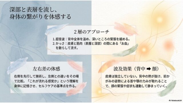 左右色分けされた背景に「2層のアプローチ」「左右差の体感」「波及効果（背中→顔）」の3つのボックスを配置した解説スライド。