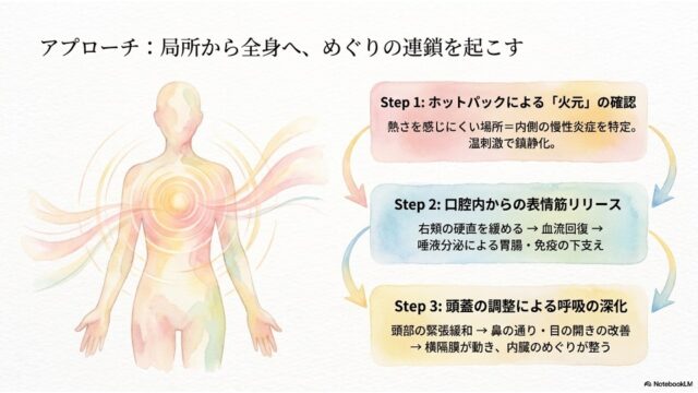 波紋が広がる人体の図。右側に3つのステップが示され、Step1はホットパックでの火元確認、Step2は口腔内からの表情筋ケア、Step3は頭蓋調整による呼吸の深化を説明している。