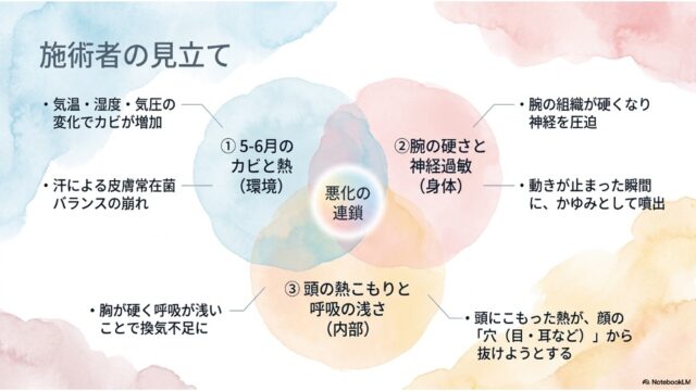 環境、身体、内部の3要素が重なるベン図で「悪化の連鎖」と施術者の見立てを解説したスライド。