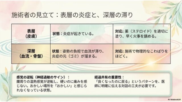 表層（皮膚の炎症）と深層（血流・骨盤の滞り）の状態および対応策を比較した表と、神経過敏や医師との対話について解説した枠組みで構成されたスライド。