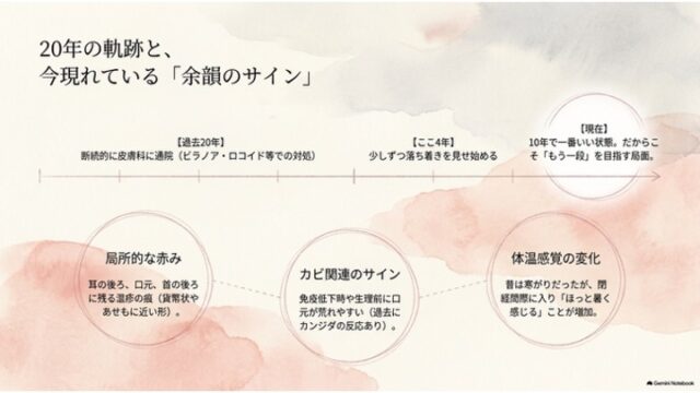 時系列のタイムラインと3つの丸枠で、過去20年の経過と現在現れている局所的な赤みなどのサインをまとめたスライド。