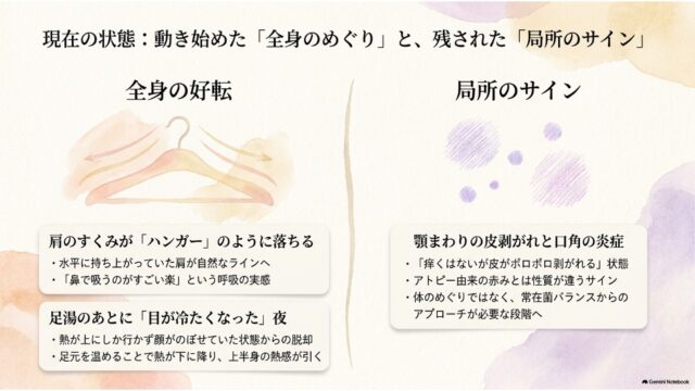 画面が左右に分かれ、左側に「全身の好転（肩の緊張緩和や足湯の効果）」、右側に「局所のサイン（顎や口角の皮剥がれ・炎症）」を比較・解説したスライド。