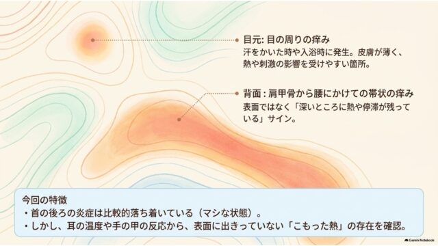 等高線状のヒートマップイラストを用いて、目元の痒みと背面の帯状の痒みのメカニズムおよび診察時の特徴を解説したスライド。