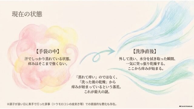 手袋の中（蒸れた状態）から洗浄直後（急激な乾燥と痒みの発生）への状態変化を矢印と水彩イラストで対比したスライド。