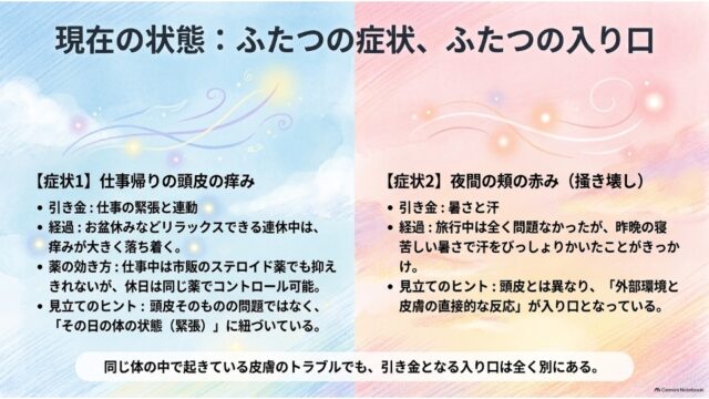 青（仕事帰りの頭皮の痒み）とピンク（夜間の頬の赤み）の左右比較レイアウトで、それぞれの引き金や経過を箇条書きしたスライド。