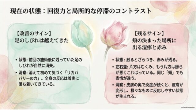 回復力と局所的な停滞を対比したスライド。左側には緑色のつぼみと足のしびれ改善のサイン、右側にはピンク色のつぼみと頬に残る湿疹のサインが左右に並んで記載されています。