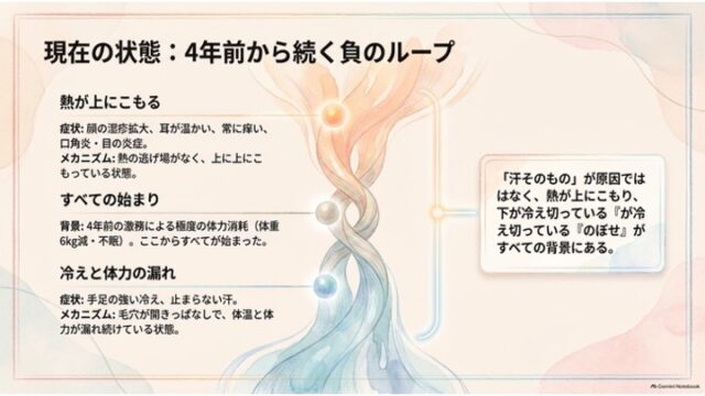 「現在の状態：4年前から続く負のループ」のスライド。上熱下冷の交差するイラストを中心に、熱のこもり・4年前の激務・冷えと体力の漏れという負の連鎖と、「冷えのぼせ」が背景にあることを解説している。