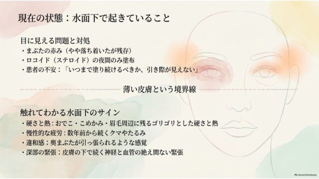 目の周りとこめかみが赤く着色された顔の線画イラストと、目に見える症状および水面下のサインを比較解説したスライド。