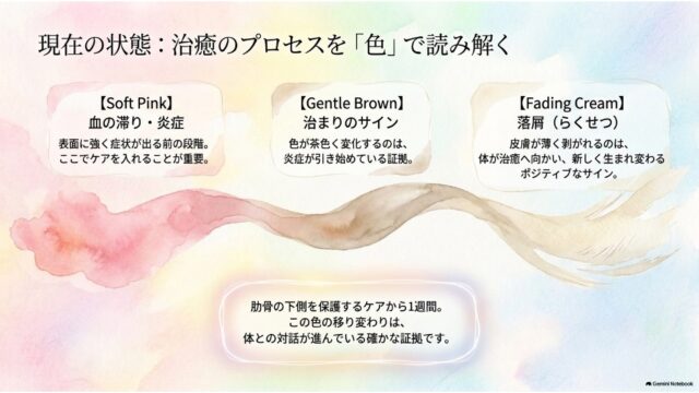 ピンクから茶色、クリーム色へと変化するグラデーションの帯とともに、皮膚の色の変化が治癒プロセスであることを説明したスライド。