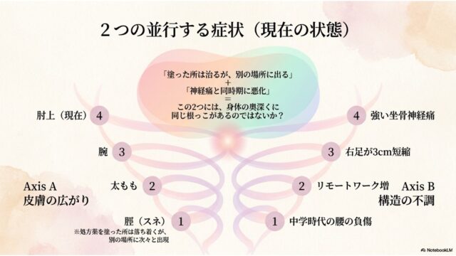 湿疹の広がり（Axis A）と構造の不調（Axis B）が段階1から4までどのように進展したかを比較表示した「2つの並行する症状」のスライド。