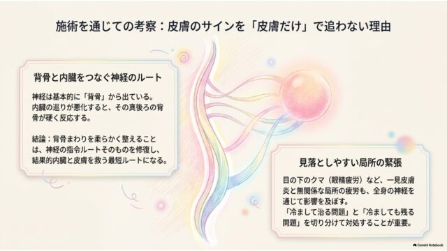 中央の背骨と神経のイラストを挟んで、背骨と内臓をつなぐ神経ルートおよび見落としやすい局所緊張の考察が記されたスライド。