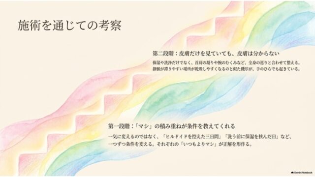 虹色の波模様を背景に、「『マシ』の積み重ねで条件を切り分ける第一段階」と「皮膚だけでなく全身の巡りを整える第二段階」の考察が記載されたスライド。