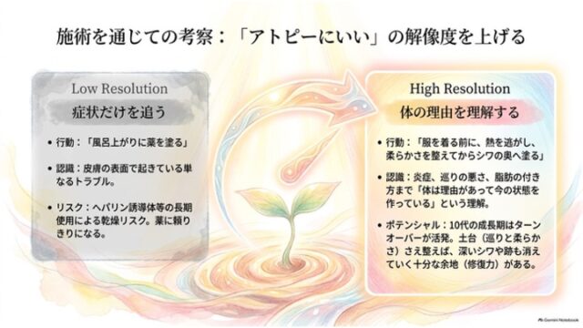 対症療法的な「Low Resolution（症状だけを追う）」と身体の理由を理解する「High Resolution」の違いを左右で比較したスライド。