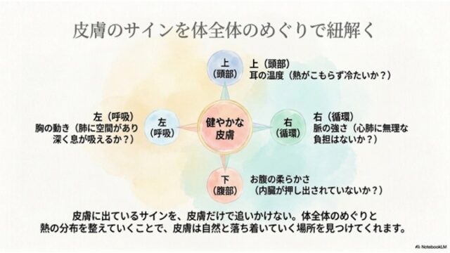 中央の「健やかな皮膚」を中心に、上（頭部・耳の温度）、下（腹部・柔らかさ）、左（呼吸・胸の動き）、右（循環・脈の強さ）の4方向のチェックポイントを示した図解スライド。