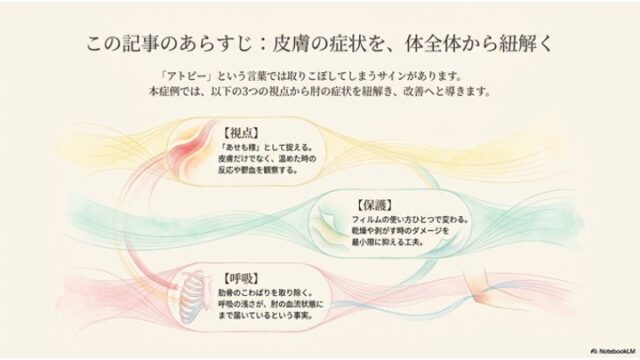 皮膚症状を体全体から紐解くための「視点」「保護」「呼吸」の3つのアプローチを解説する図解スライド。