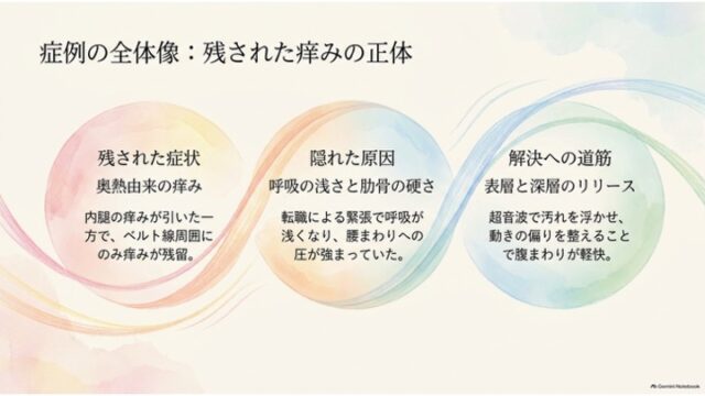 3つの重なり合う円と流れるような線で構成されたスライド。「残された症状（奥熱由来の痒み）」「隠れた原因（呼吸の浅さと肋骨の硬さ）」「解決への道筋（表層と深層のリリース）」の3項目が記載されている。